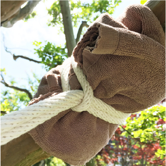 【step01】まずは木の幹にロープを巻きつける。